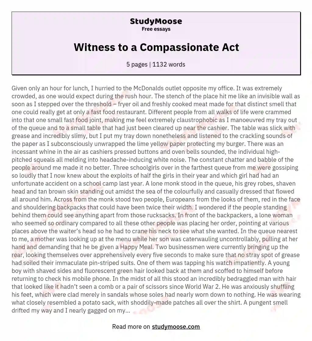 Witness to a Compassionate Act essay