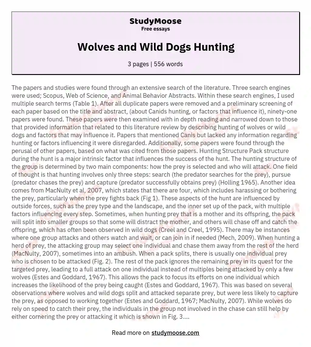 Wolves and Wild Dogs Hunting essay