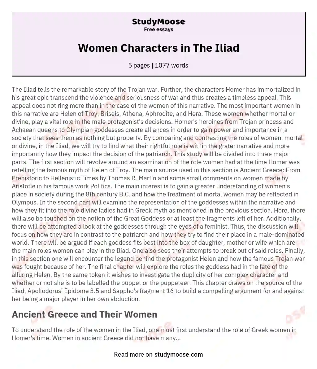 Women Characters in The Iliad essay