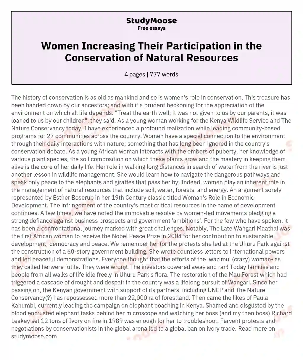 Women Increasing Their Participation in the Conservation of Natural Resources essay