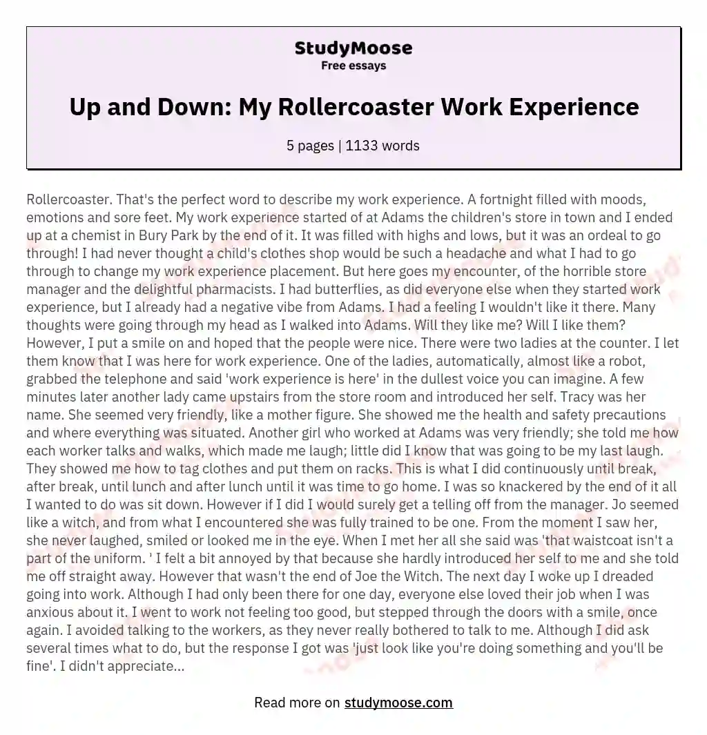 Up and Down: My Rollercoaster Work Experience essay