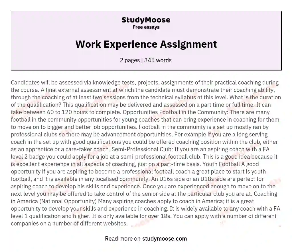 Work Experience Assignment essay