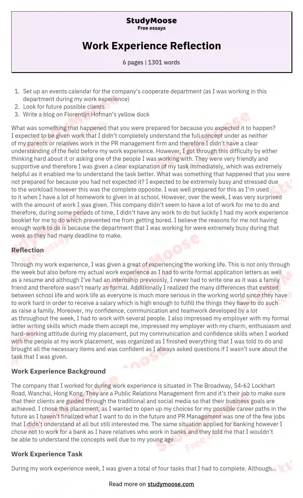 Work Experience Reflection essay