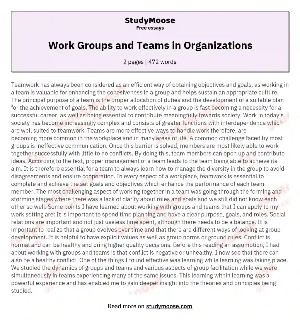 Work Groups and Teams in Organizations essay