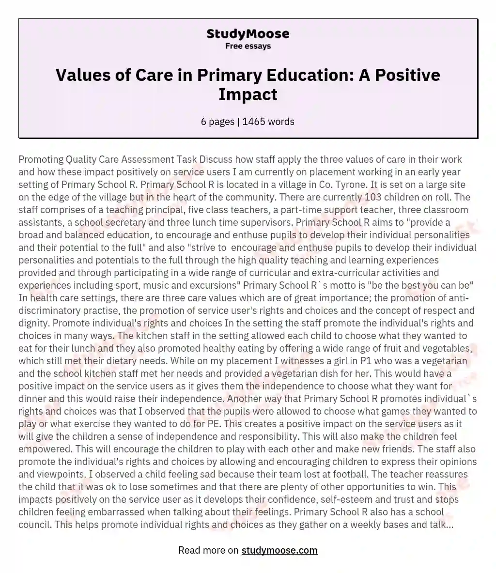 Values of Care in Primary Education: A Positive Impact essay