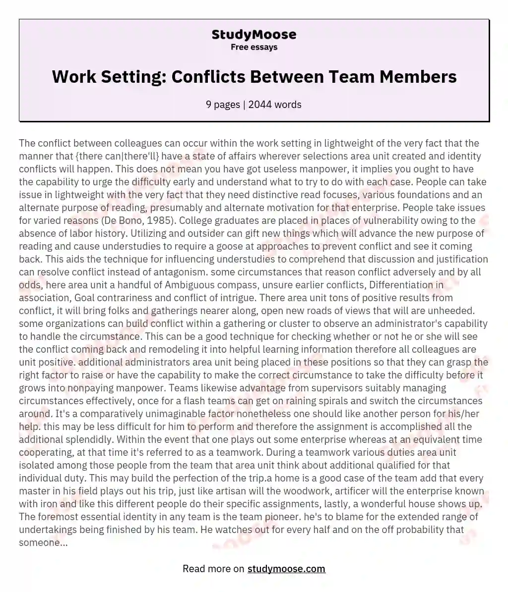 Work Setting: Conflicts Between Team Members essay
