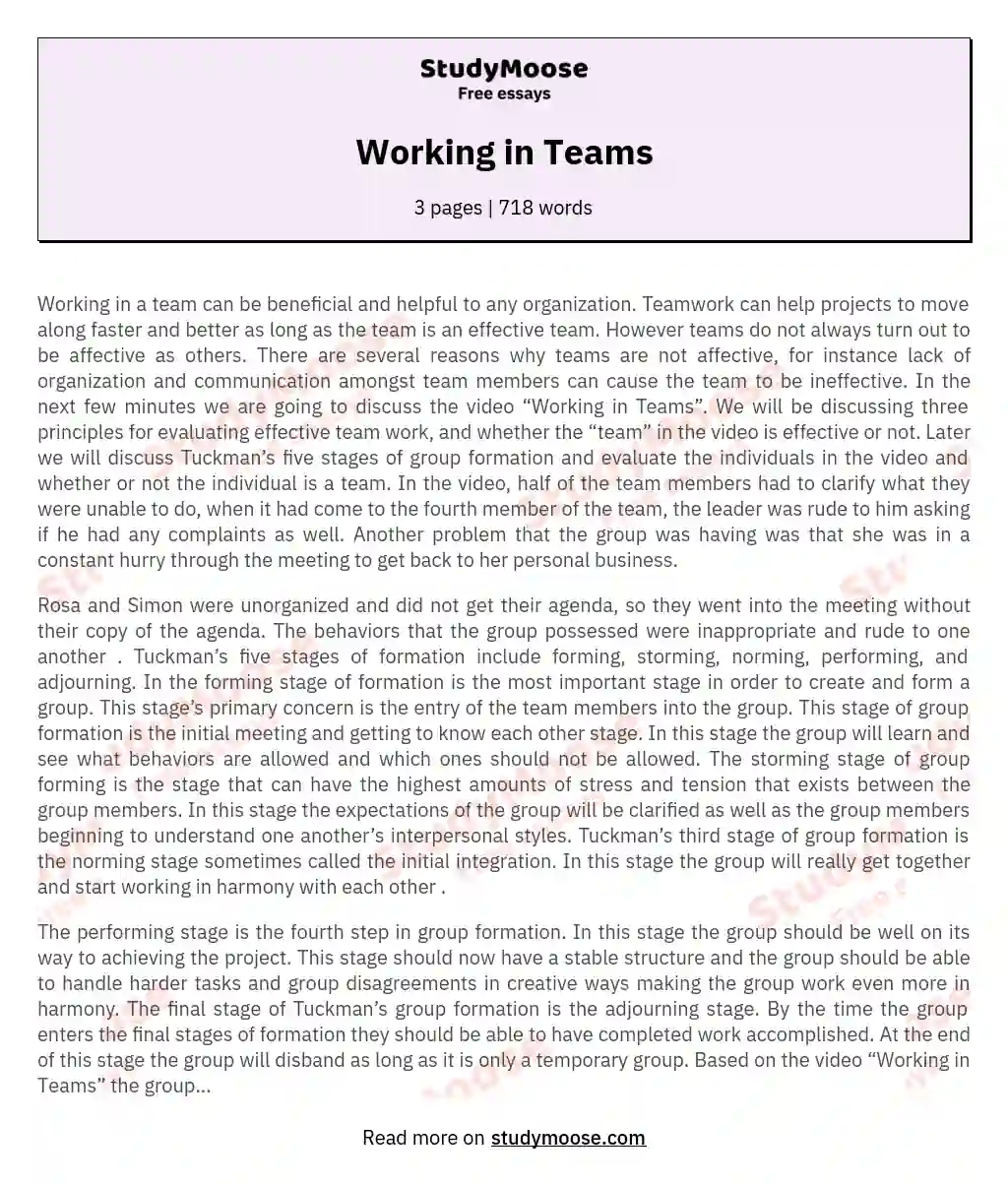 Working in Teams essay