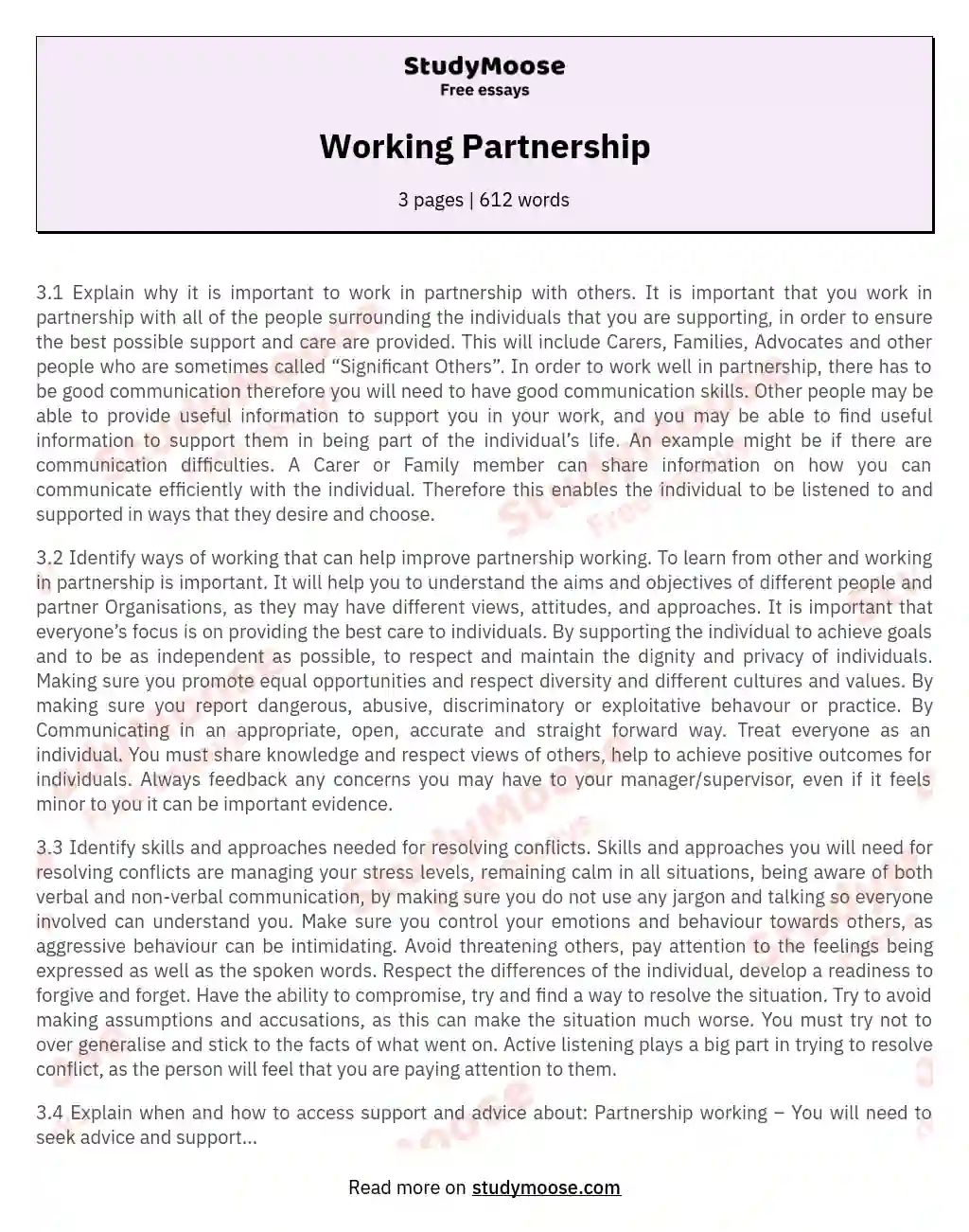 Working Partnership essay