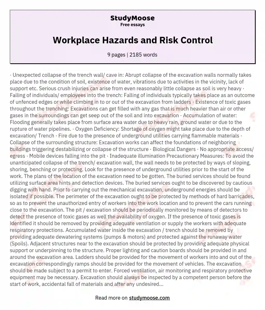 Workplace Hazards and Risk Control essay