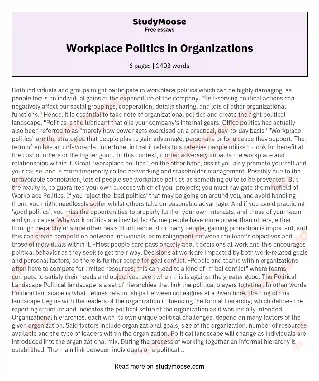Workplace Politics in Organizations essay