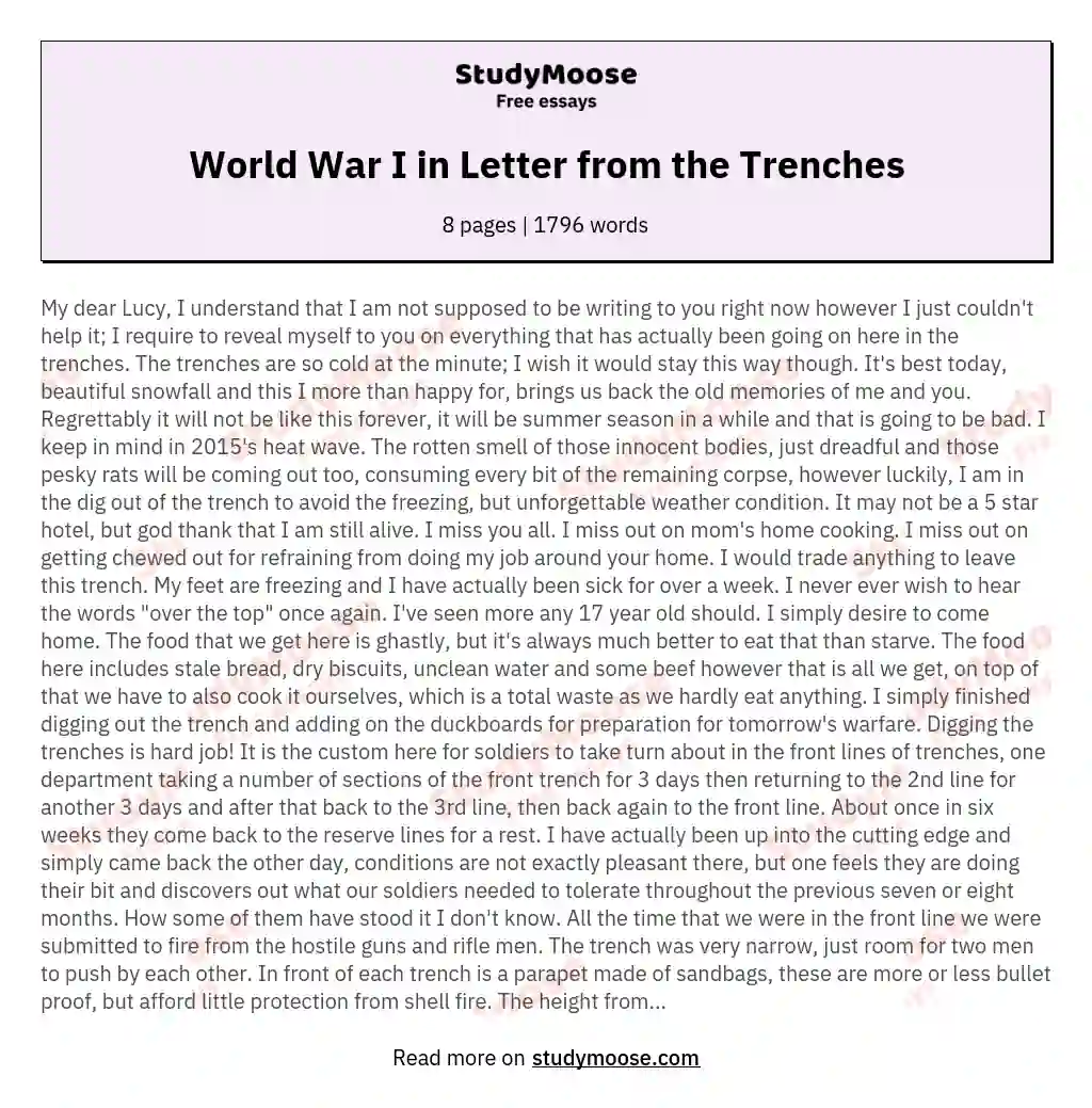 World War I in Letter from the Trenches essay