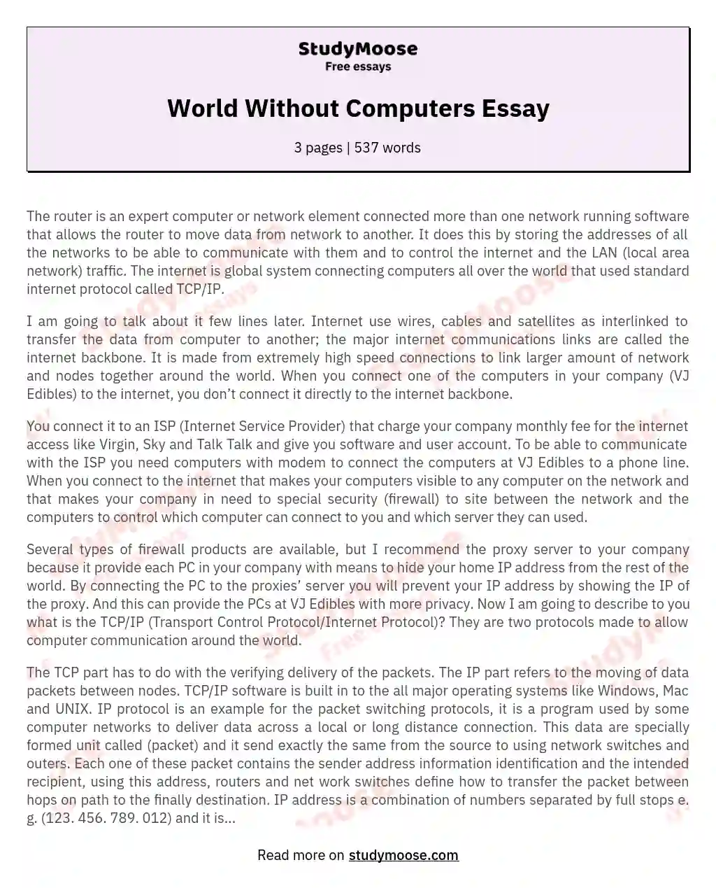 The Role of Routers and Firewalls in Computer Networks essay