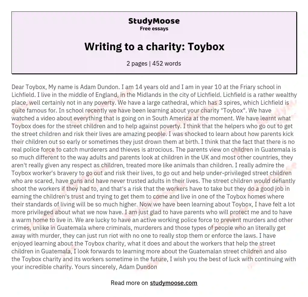Writing to a charity: Toybox essay