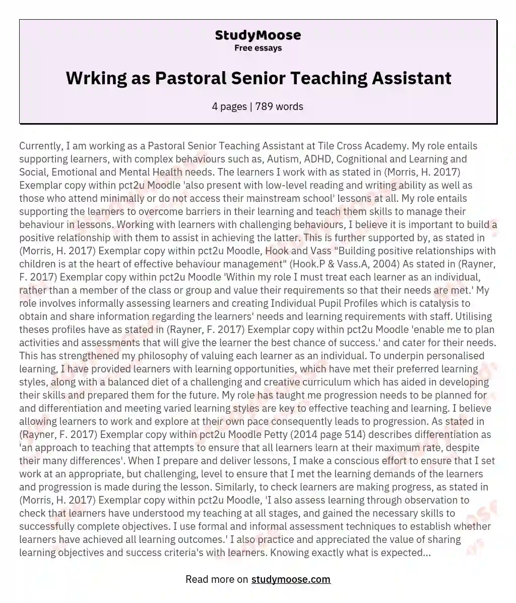 Wrking as Pastoral Senior Teaching Assistant essay