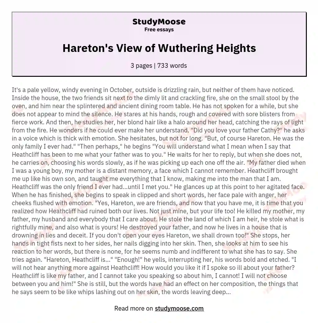 Wuthering Heights - Point of View Number Three, Through the Eyes of Hareton Earnshaw