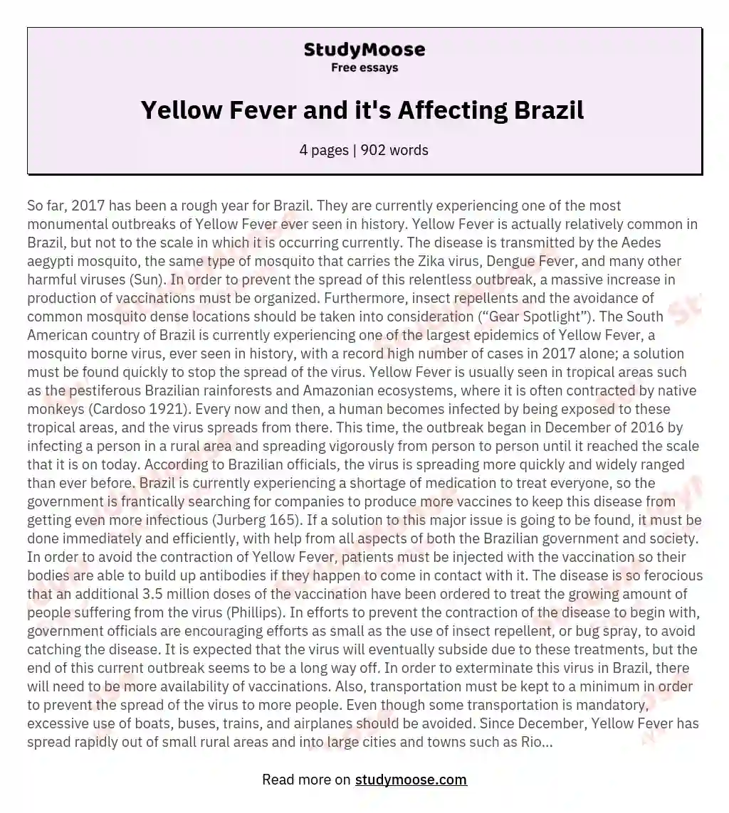 Yellow Fever and it's Affecting Brazil  essay