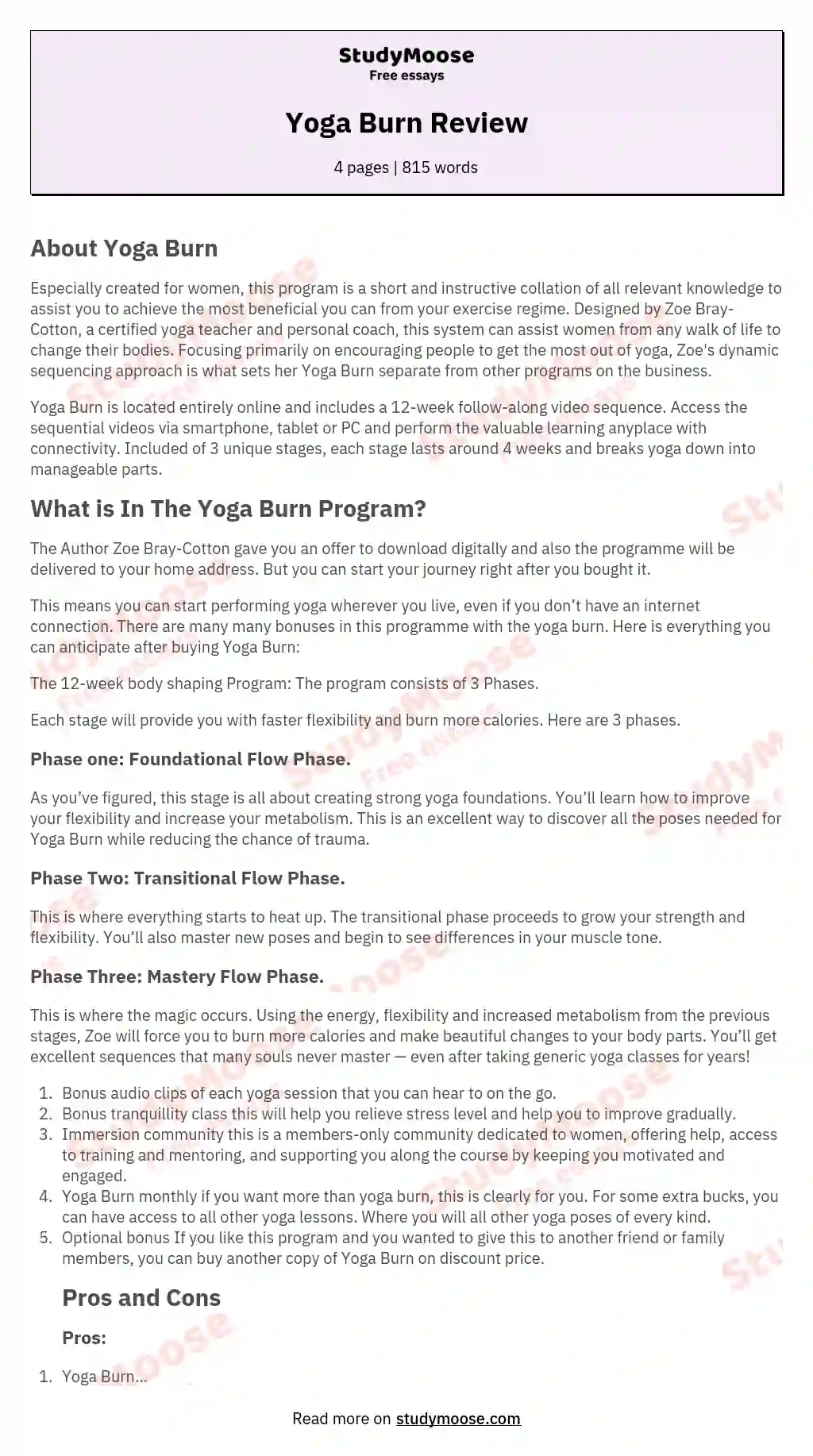 Yoga Burn Review essay