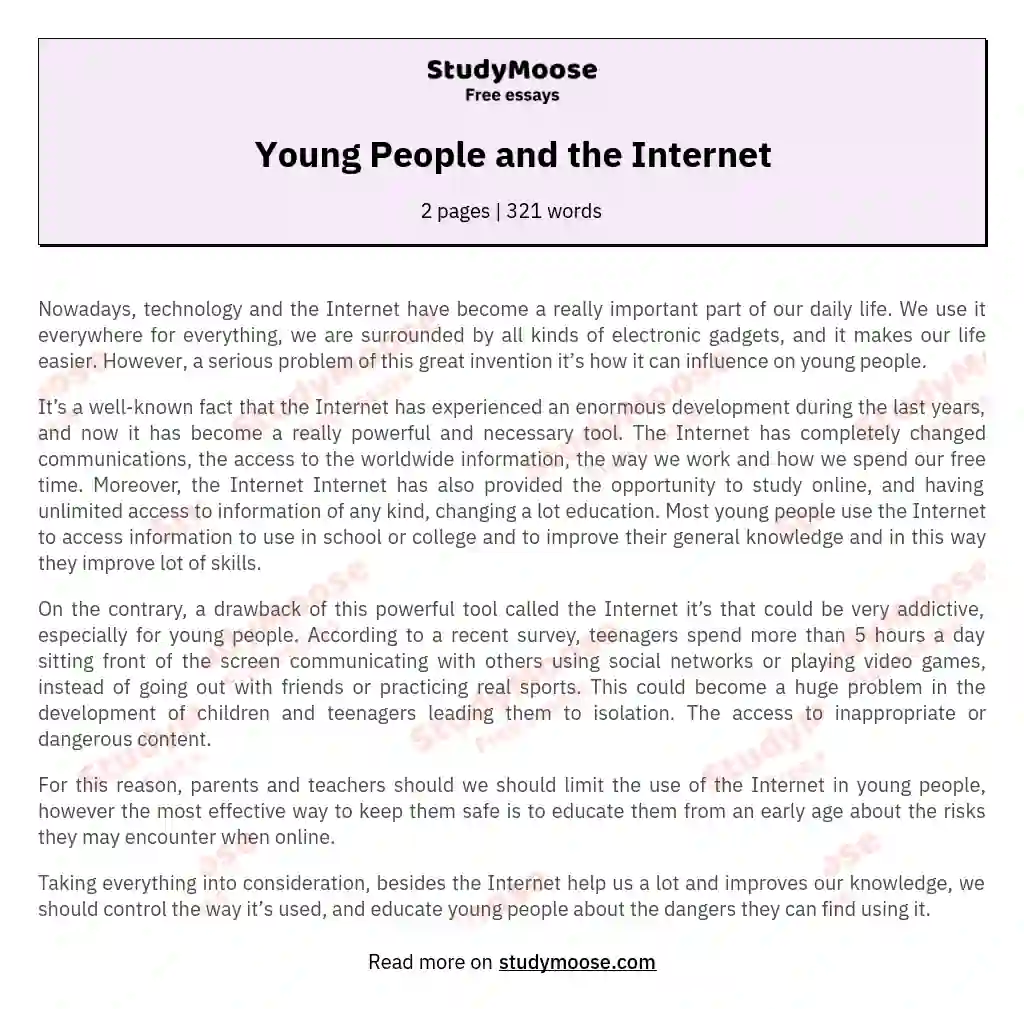 Young People and the Internet essay