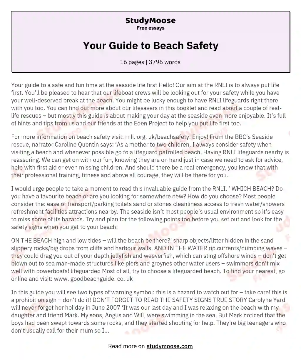 Your Guide to Beach Safety essay