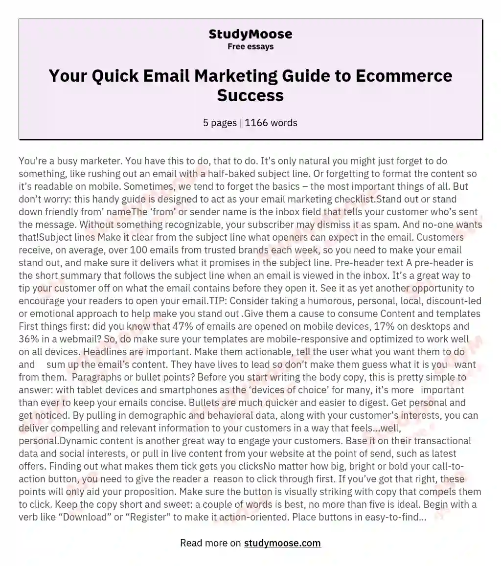 Your Quick Email Marketing Guide to Ecommerce Success essay