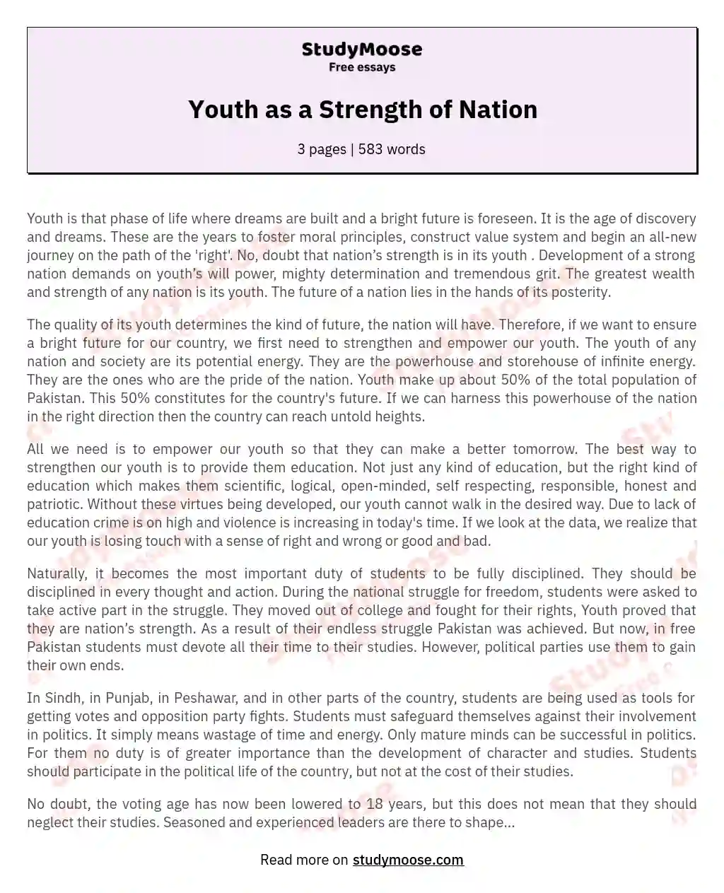 Youth as a Strength of Nation essay