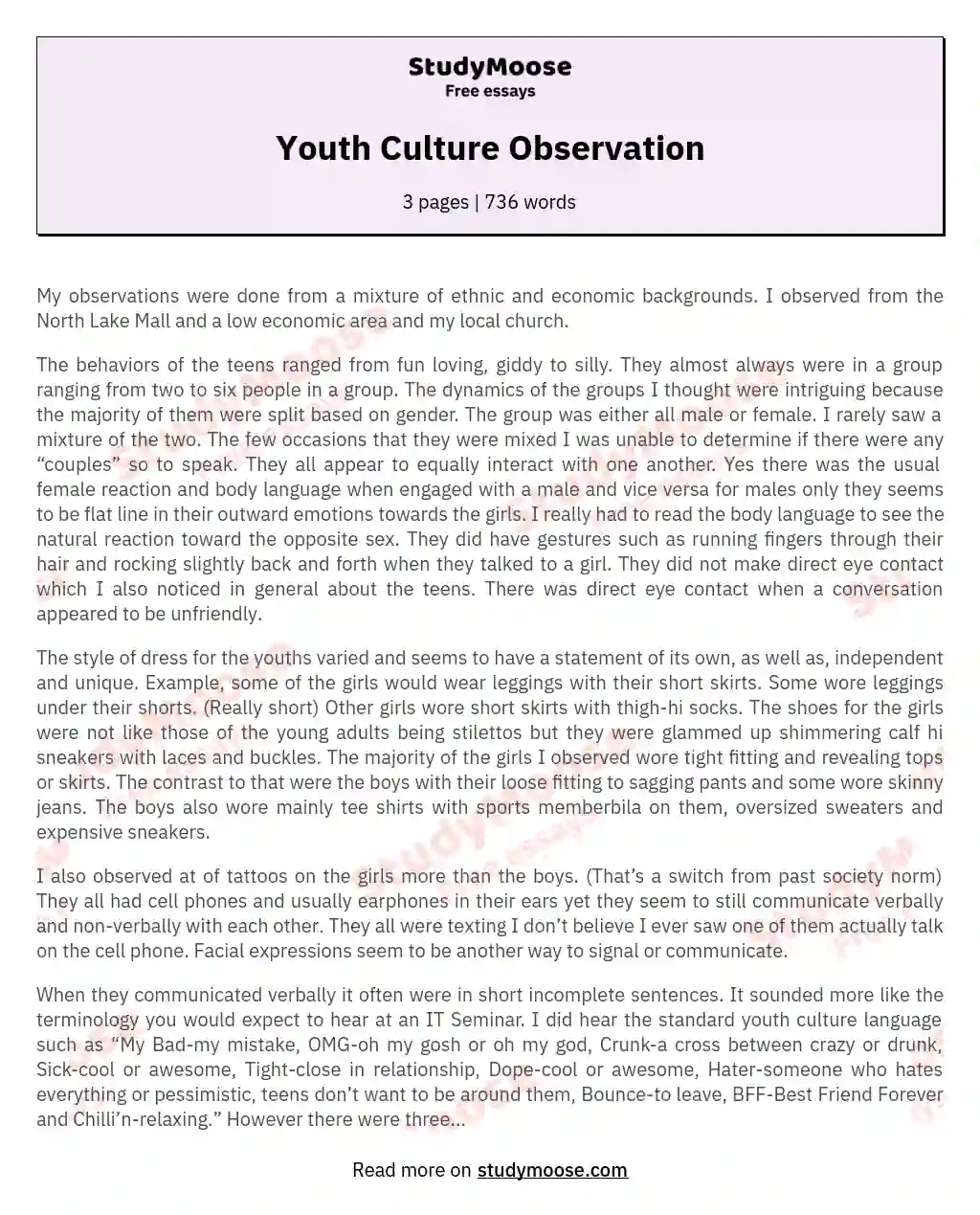 Youth Culture Observation essay