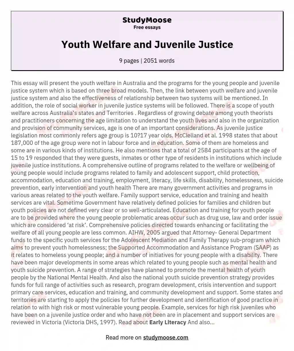 Youth Welfare and Juvenile Justice essay