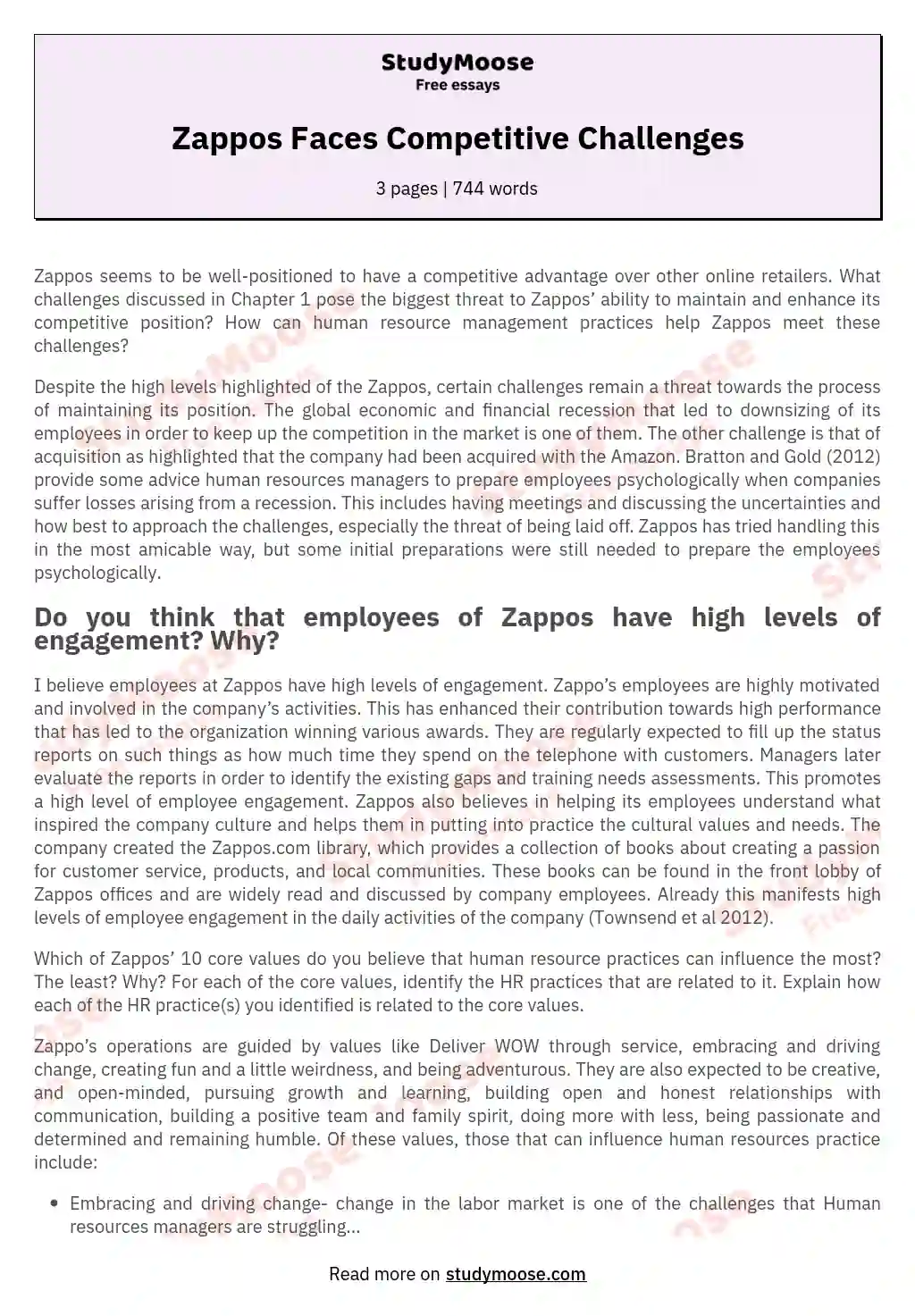 Zappos Faces Competitive Challenges essay