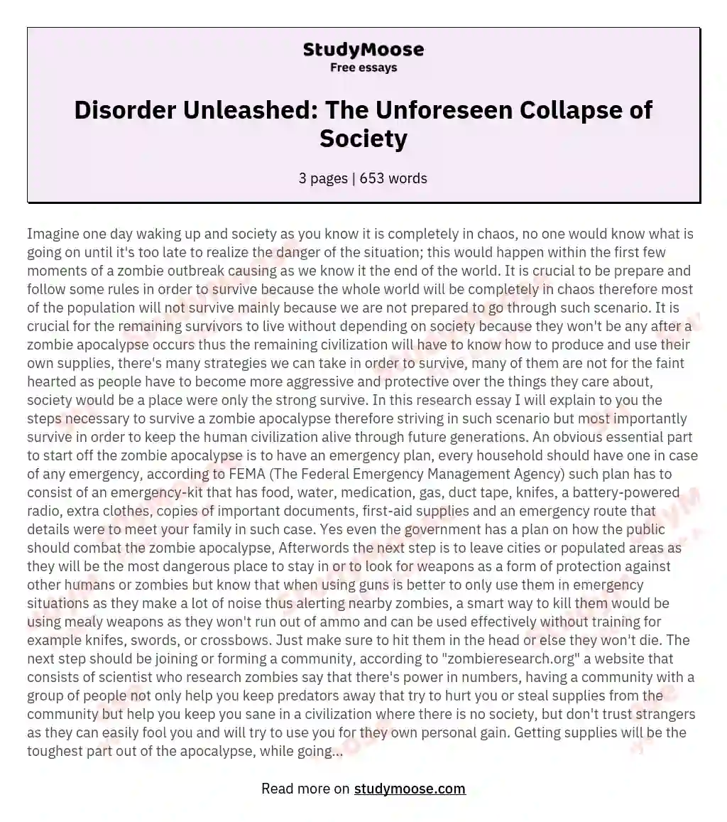 Disorder Unleashed: The Unforeseen Collapse of Society essay
