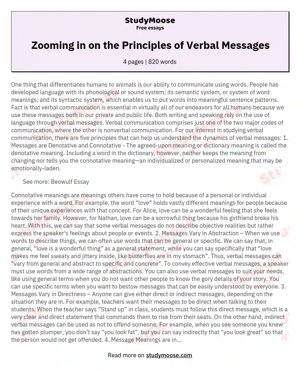 Zooming in on the Principles of Verbal Messages