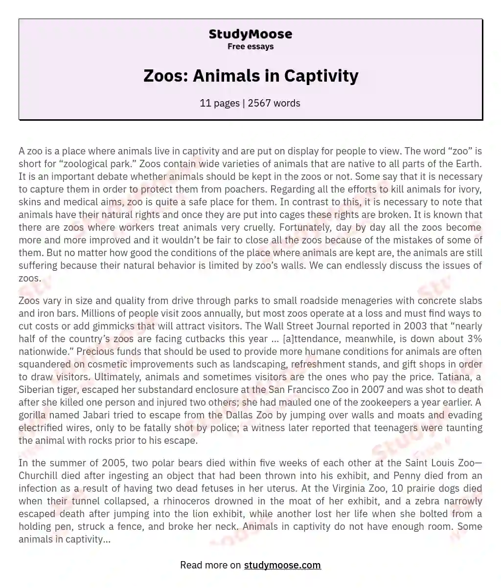Zoos: Animals in Captivity Free Essay Example