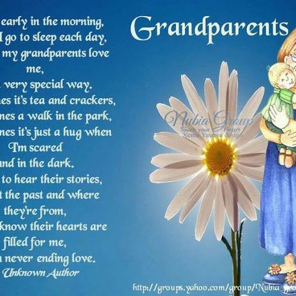 A Day With My Grandparents Essay Examples