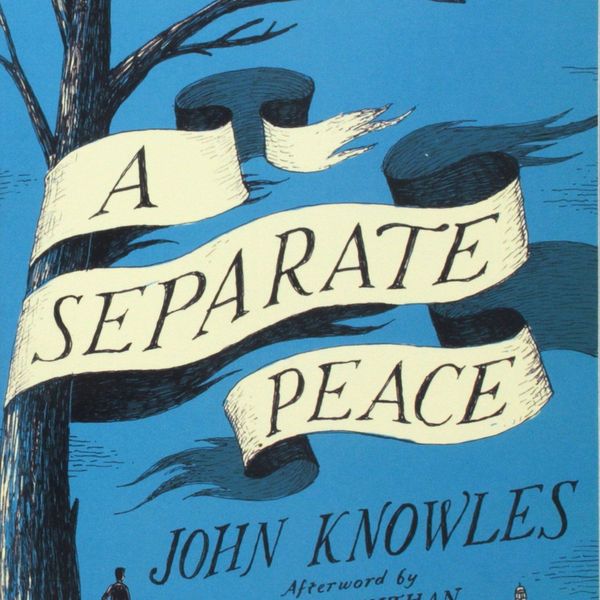 Essays on a separate peace