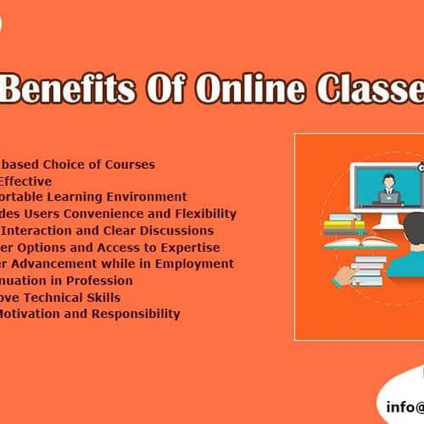 Advantages Of Online Education Essay Examples