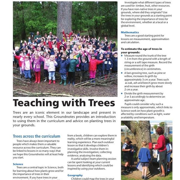 Advertising On School Grounds Essay Examples