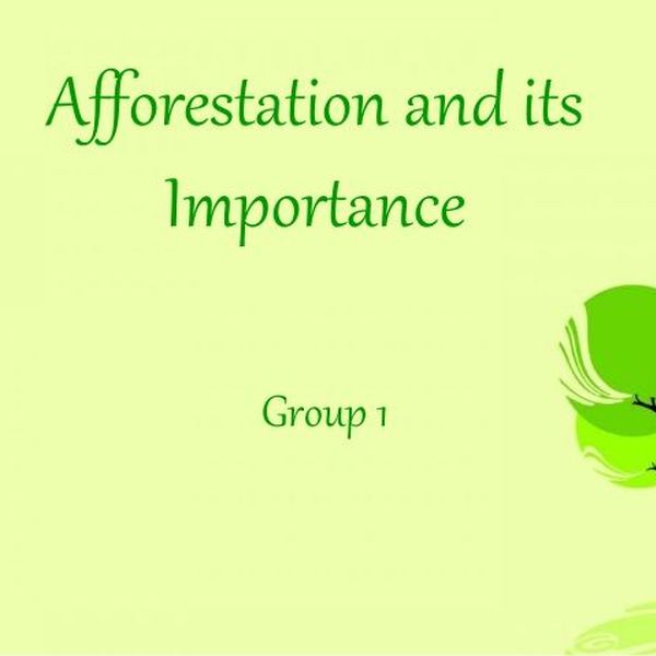 Afforestation And Its Importance Essay Examples