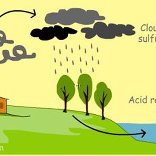 Air Pollution And Its Effects Essay Examples