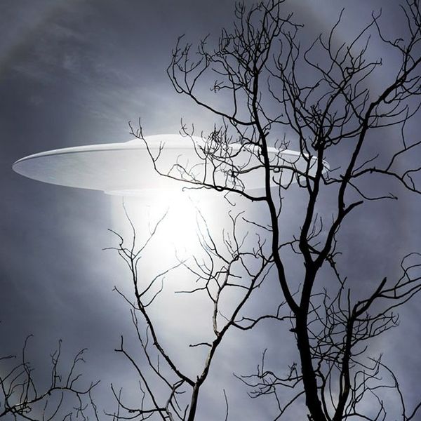 Alien Existence Essay Examples