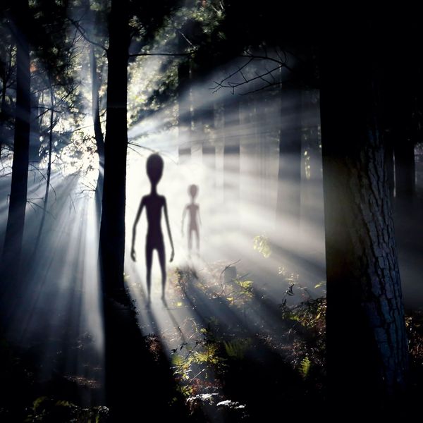 Aliens Do They Exist Essay Examples
