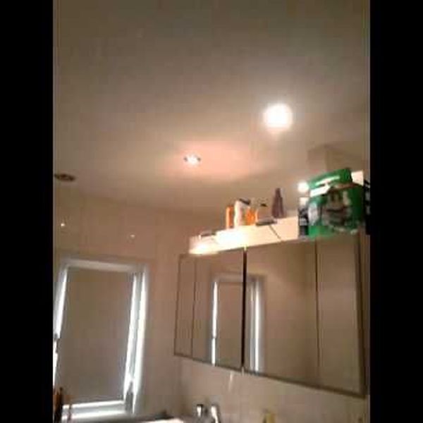 An Alien In My House Essay Examples