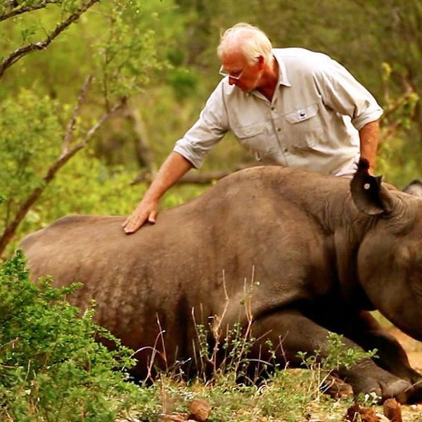 Animal Conservation Essay Examples