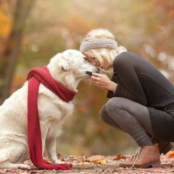 Animal Lovers Essay Examples