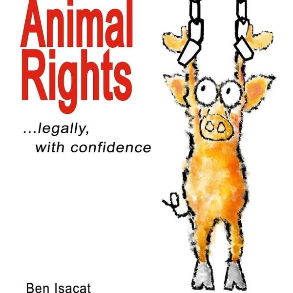 Animal Rights Essay Examples