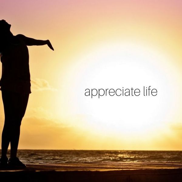 Appreciation Of Life Essay Examples