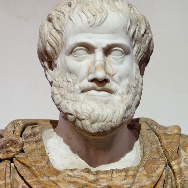 Aristotle Essay Examples