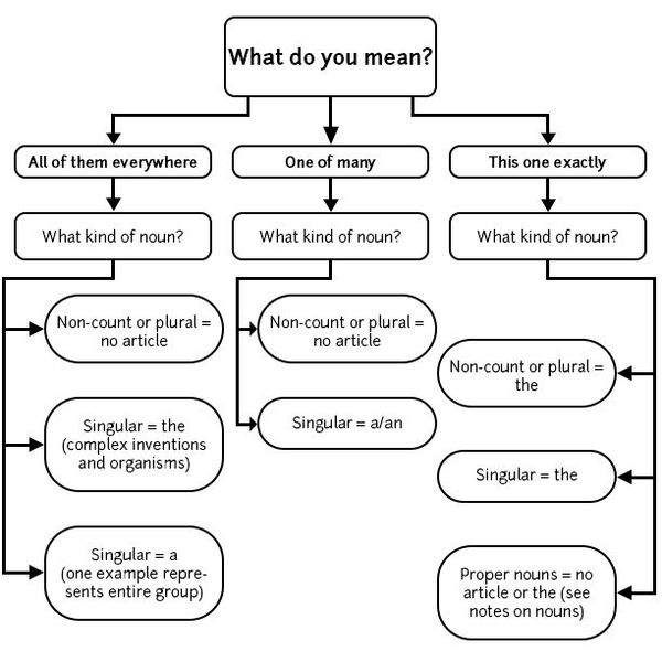 Article Essay Examples