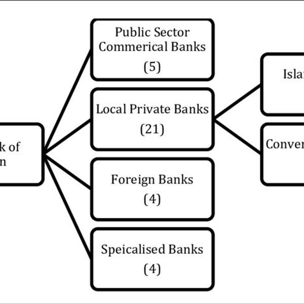 Banking System In Pakistan Essay Examples