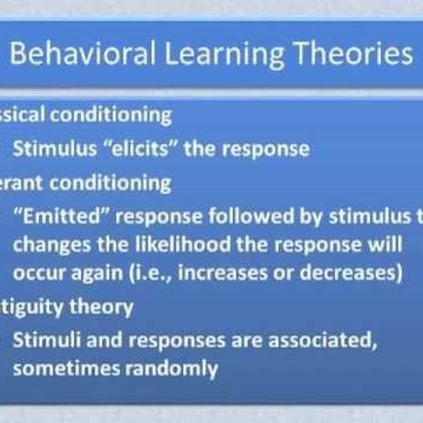 Behavioral Theory Essay Examples