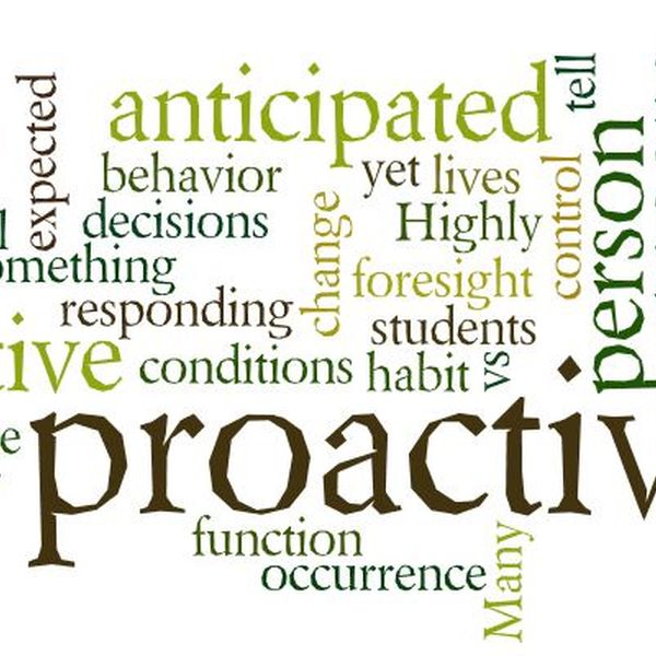 Being Proactive Essay Examples