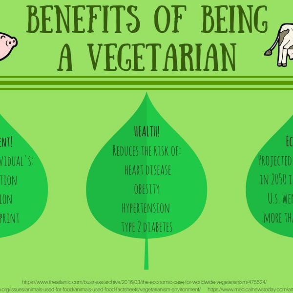 Being Vegetarian Essay Examples